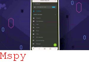 Mspy Geodezyjne Wsi Chocicz